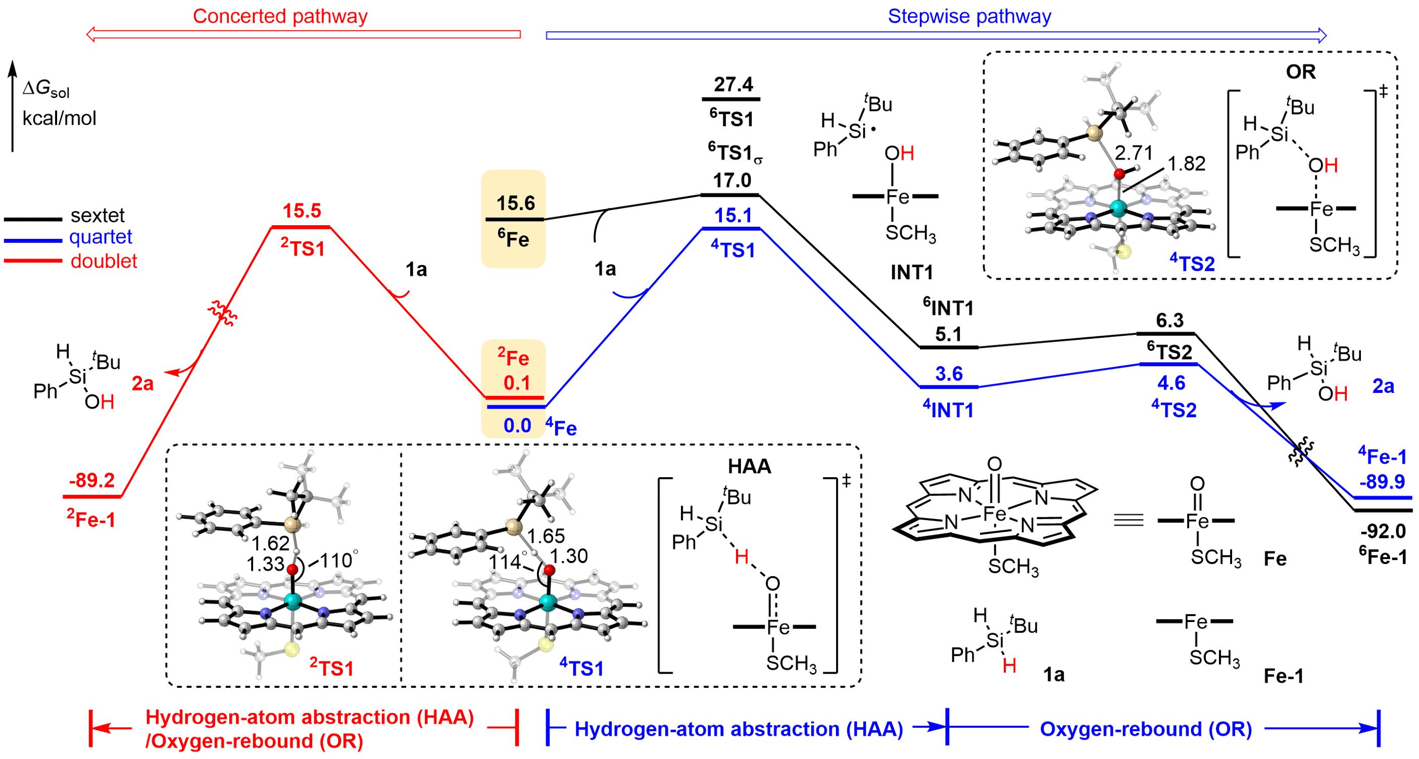 20250407-Angew. Chem. -刘臻-4. 基于密度泛函理论（DFT）进行的机理计算.jpg