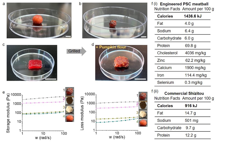 20220530-细胞培养猪肉制品在烹饪之前和之后的形态,以及与天然猪肉制作的食用猪肉丸(狮子头)的硬度和营养成分对比-刘烨-科研成果jpeg 20220530-细胞培养猪肉制品在烹饪之前和之后的形态,以及与天然猪肉制作的食用猪肉丸(狮子头)的硬度和营养成分对比-刘烨-科研成果jpeg