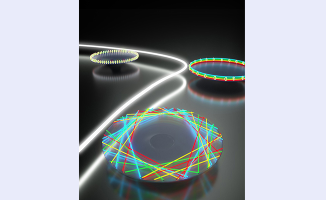 空白背景new1 - 副本.jpg