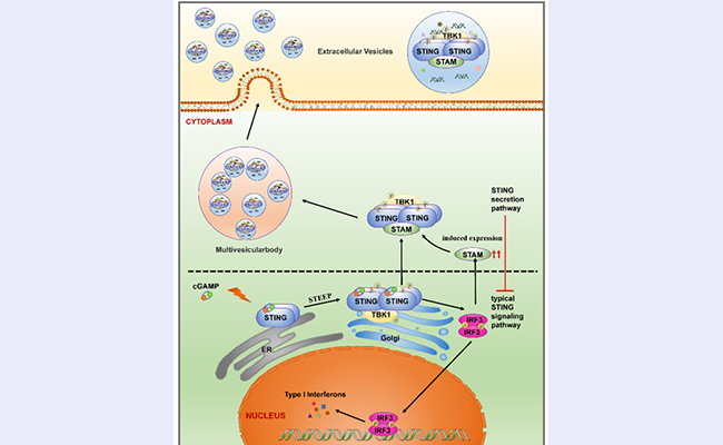 空白背景new - 副本.jpg