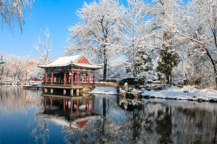 20250423-114 周年校庆|beat365英国官方网站离退休教职工书画作品展和摄影作品展开幕-段鸿杰-作品名称:《校园雪韵》作者:费润升.png