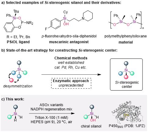 20250407-Angew. Chem. -刘臻-1. 手性硅醇的去对称化合成策略.jpg