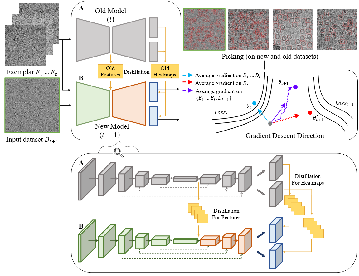 20220505-李雪明-论文-成果图片1.png 20220505-李雪明-论文-成果图片1.png