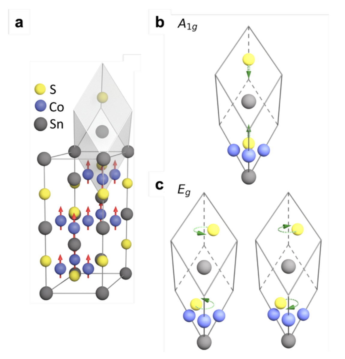20250519-杨鲁懿等-Co3Sn2S2的晶格结构及拉曼活性声子模式-杨鲁懿png