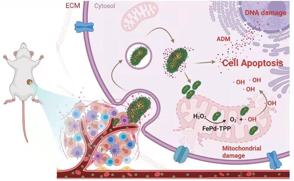 7e9d34626633d048b2a0eaf4273fcc3.jpg 7e9d34626633d048b2a0eaf4273fcc3.jpg