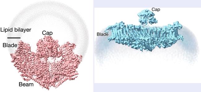 空白背景1new - 副本.jpg