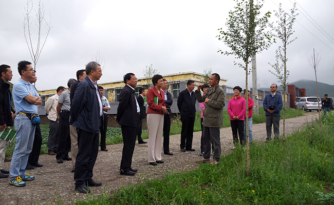 考察青海大学马铃薯制繁种基地 - 副本.jpg